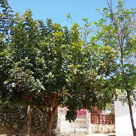 Robinia Villa Reitani